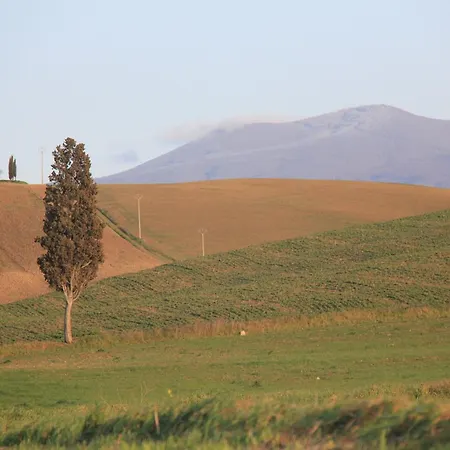 Il Gallinaio, Vivo D'orcia Ferienhaus Castiglione dʼOrcia